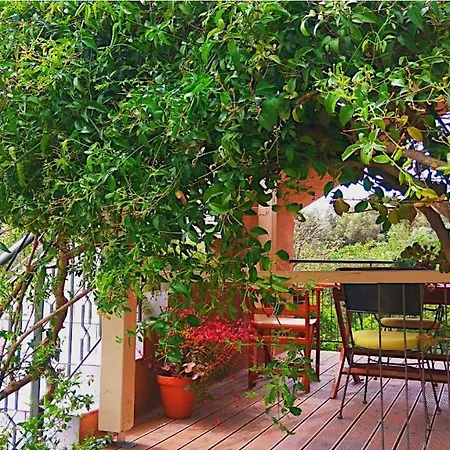 Kefalonia - Marias - 2 Bedroom In Orchard, *