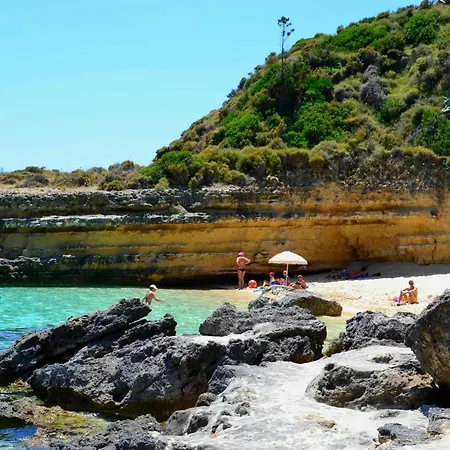 アパート Kefalonia - Marias - 2 Bedroom In Orchard, スパルティア