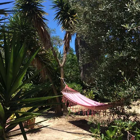 Kefalonia - Marias - 2 Bedroom In Orchard, アパート